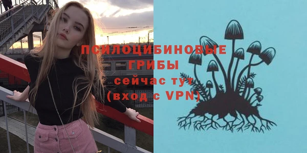 MESCALINE Верея