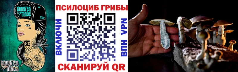 Галлюциногенные грибы MAGIC MUSHROOMS  Вилючинск 